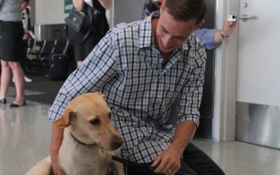 How to bring Pets to Colombia