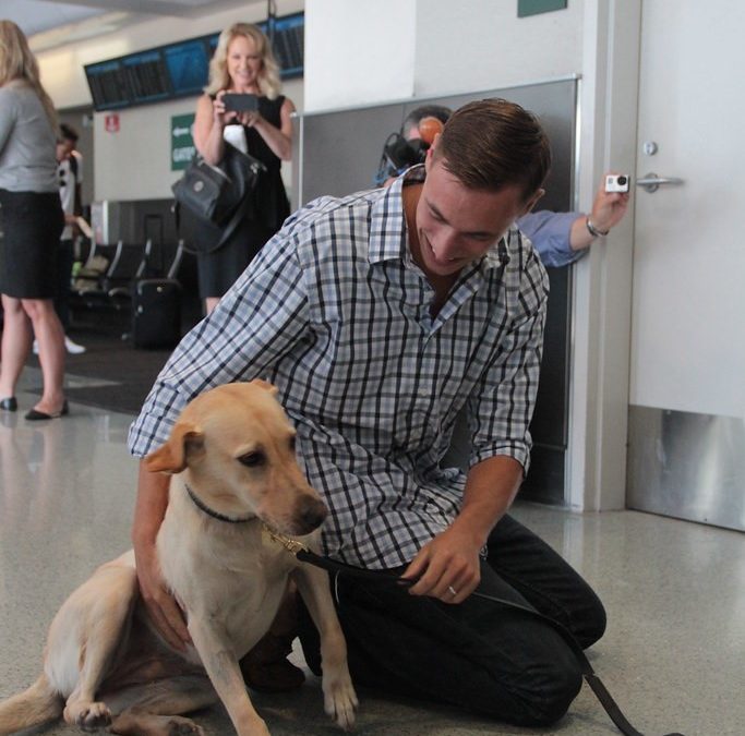 How to bring Pets to Colombia