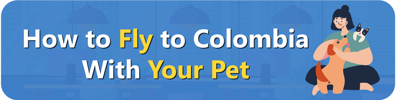 How-to-Fly-to-Colombia-With-Your-Pet How-to-Fly-to-Colombia-With-Your-Pet
